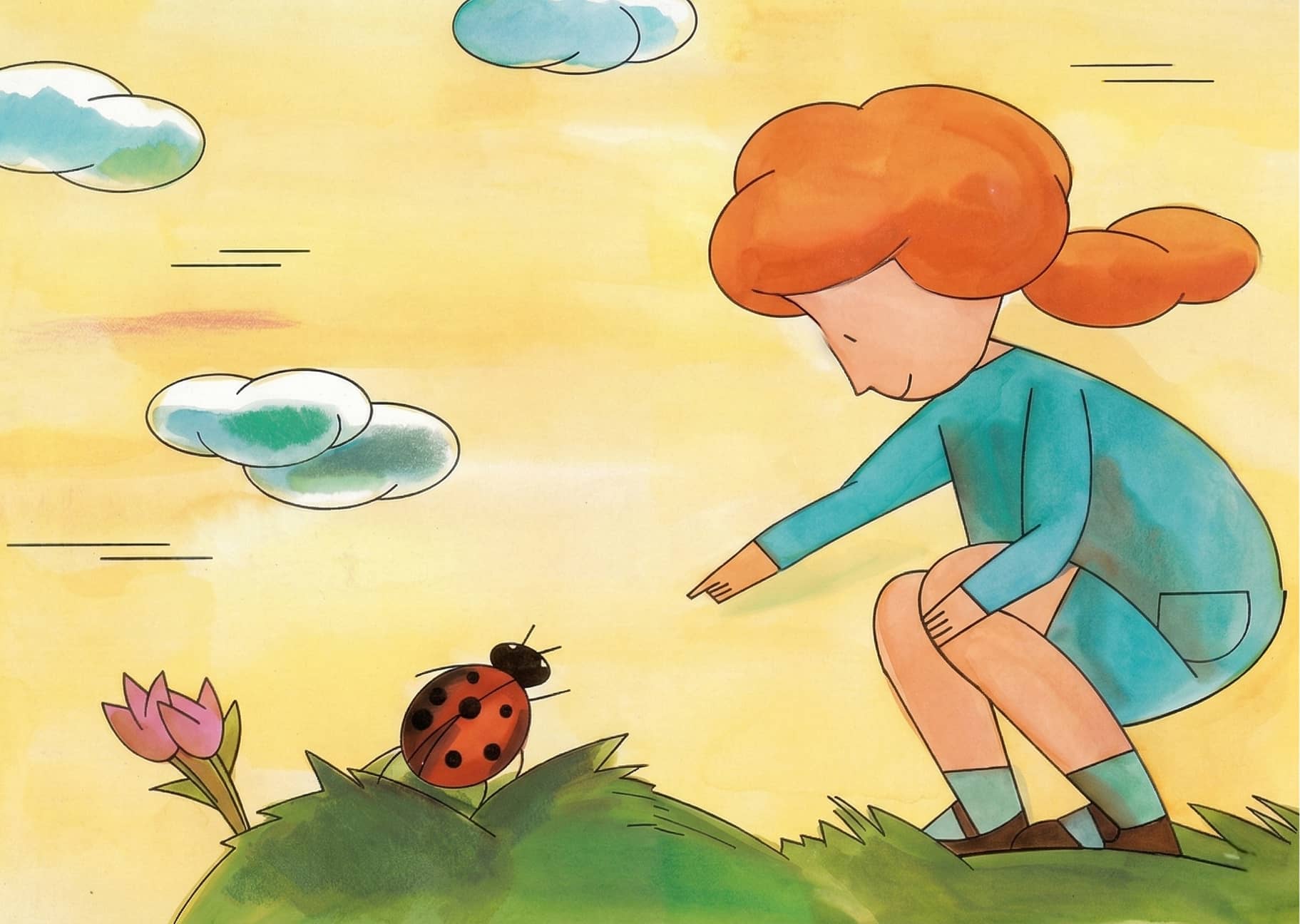 איילת מטיילת cover